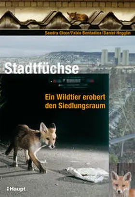 Gloor / Bontadina / Hegglin |  Stadtfüchse | Buch |  Sack Fachmedien
