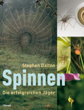 Dalton |  Spinnen | Buch |  Sack Fachmedien