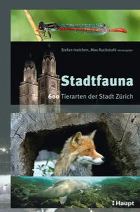 Ineichen / Ruckstuhl |  Stadtfauna | Buch |  Sack Fachmedien