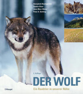 Baumgartner / Gloor / Weber |  Der Wolf | Buch |  Sack Fachmedien