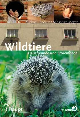 Stocker / Meyer |  Wildtiere | Buch |  Sack Fachmedien