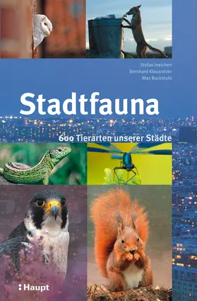 Ineichen / Ruckstuhl / Klausnitzer | Stadtfauna | Buch | 978-3-258-07723-9 | www.sack.de