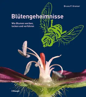 Kremer |  Blütengeheimnisse | Buch |  Sack Fachmedien