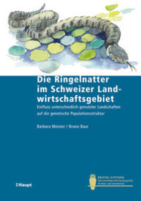 Meister / Baur | Die Ringelnatter im Schweizer Landwirtschaftsgebiet | Buch | 978-3-258-07816-8 | sack.de