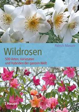 Masure |  Wildrosen | Buch |  Sack Fachmedien