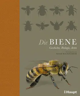 Wilson-Rich | Die Biene | Buch | 978-3-258-07869-4 | www.sack.de