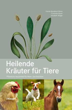 Brendieck-Worm / Klarer / Stöger | Heilende Kräuter für Tiere | Buch | 978-3-258-07936-3 | sack.de