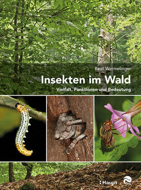 Wermelinger | Insekten im Wald | Buch | 978-3-258-07993-6 | sack.de