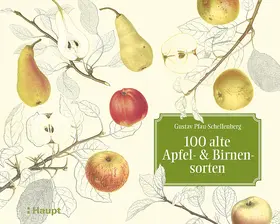Pfau-Schellenberg / Lienhard | 100 alte Apfel- und Birnensorten | Buch | 978-3-258-08013-0 | www.sack.de