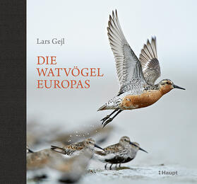 Gejl | Die Watvögel Europas | Buch | 978-3-258-08021-5 | sack.de