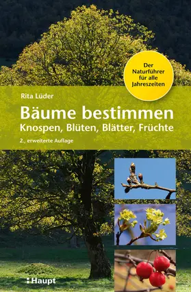 Lüder | Bäume bestimmen - Knospen, Blüten, Blätter, Früchte | Buch | 978-3-258-08049-9 | sack.de