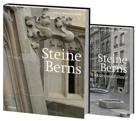 Labhart / Zehnder |  Steine Berns | Buch |  Sack Fachmedien