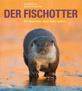 Weinberger / Baumgartner |  Der Fischotter | Buch |  Sack Fachmedien