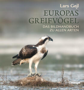 Gejl | Europas Greifvögel | Buch | 978-3-258-08089-5 | sack.de