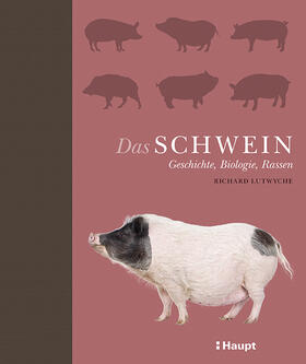 Lutwyche |  Das Schwein | Buch |  Sack Fachmedien