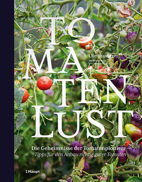 Studer | Tomatenlust | Buch | 978-3-258-08102-1 | sack.de