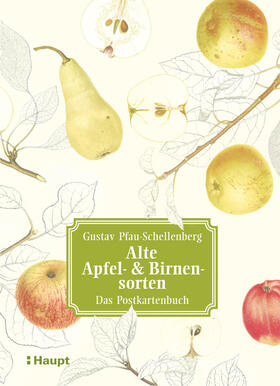 Pfau-Schellenberg | Alte Apfel- & Birnensorten - Das Postkartenbuch | Buch | 978-3-258-08110-6 | sack.de