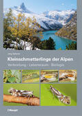 Schmid |  Kleinschmetterlinge der Alpen | Buch |  Sack Fachmedien