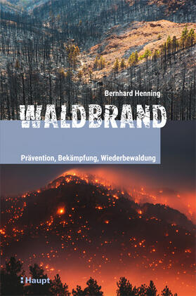 Henning | Waldbrand | Buch | 978-3-258-08138-0 | sack.de