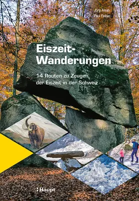 Alean / Felber |  Eiszeit-Wanderungen | Buch |  Sack Fachmedien