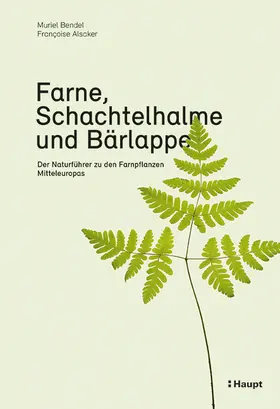 Bendel / Alsaker | Farne, Schachtelhalme und Bärlappe | Buch | 978-3-258-08173-1 | www.sack.de