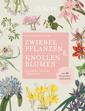 Wilford |  Zwiebelpflanzen & Knollenblumen | Buch |  Sack Fachmedien