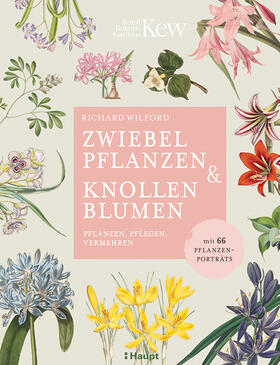 Wilford | Zwiebelpflanzen & Knollenblumen | Buch | 978-3-258-08193-9 | sack.de