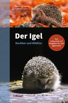 Taucher / Geiger | Der Igel - Nachbar und Wildtier | Buch | 978-3-258-08194-6 | www.sack.de