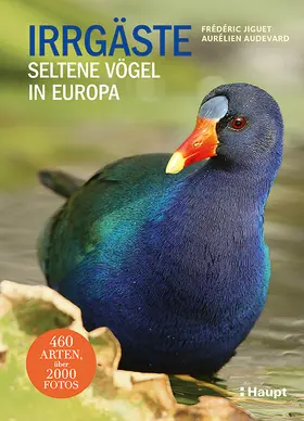 Jiguet / Audevard |  Irrgäste | Buch |  Sack Fachmedien