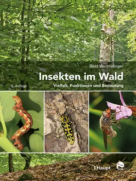 Wermelinger | Insekten im Wald | Buch | 978-3-258-08217-2 | www.sack.de