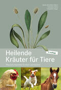 Brendieck-Worm / Stöger / Klarer |  Heilende Kräuter für Tiere | Buch |  Sack Fachmedien