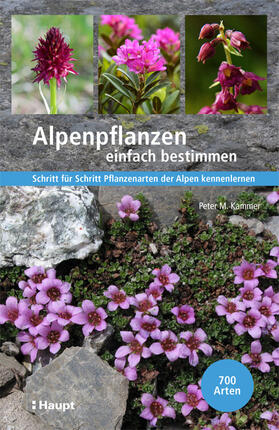 Kammer |  Alpenpflanzen einfach bestimmen | Buch |  Sack Fachmedien