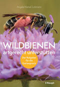 Niebel-Lohmann |  Wildbienen artgerecht unterstützen | Buch |  Sack Fachmedien
