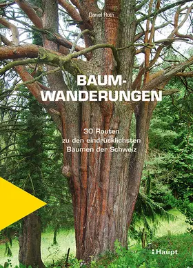 Roth |  Baumwanderungen | Buch |  Sack Fachmedien
