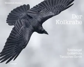 Haller |  Der Kolkrabe – Totenvogel, Götterbote, tierisches Genie | Buch |  Sack Fachmedien