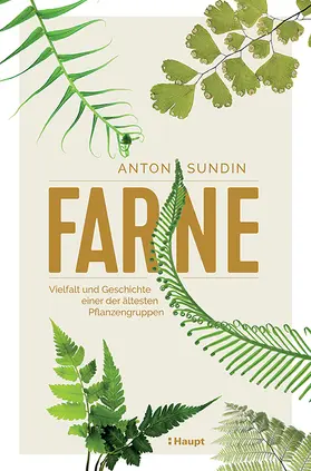 Sundin | Farne | Buch | 978-3-258-08272-1 | www.sack.de