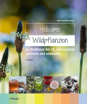 Hecker | Heilsame Wildpflanzen | Buch | 978-3-258-08317-9 | www.sack.de