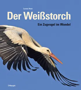 Heer | Der Weißstorch | Buch | 978-3-258-08354-4 | www.sack.de