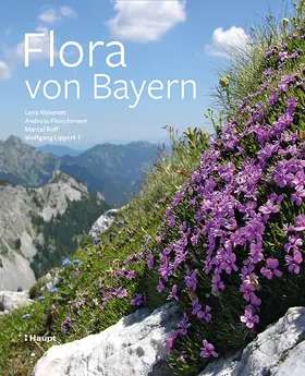 Meierott / Fleischmann / Ruff |  Flora von Bayern | Buch |  Sack Fachmedien