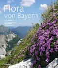 Meierott / Fleischmann / Ruff |  Flora von Bayern | Buch |  Sack Fachmedien