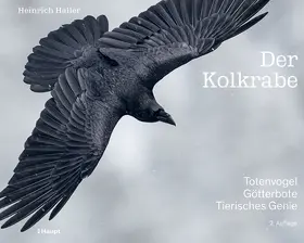 Haller |  Der Kolkrabe - Totenvogel, Götterbote, tierisches Genie | Buch |  Sack Fachmedien