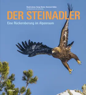 Jenny / Denis / Haller |  Der Steinadler | Buch |  Sack Fachmedien