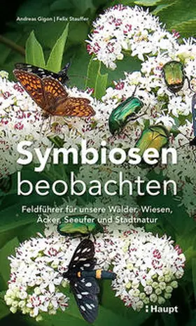Gigon / Stauffer | Symbiosen beobachten | Buch | 978-3-258-08362-9 | sack.de