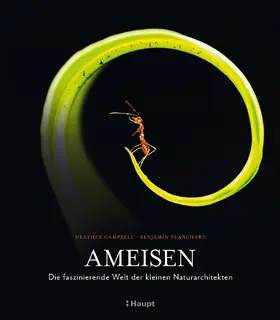 Campbell / Blanchard |  Ameisen | Buch |  Sack Fachmedien