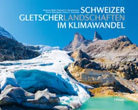 Wipf / Nussbaumer / Machguth |  Schweizer Gletscherlandschaften im Klimawandel | Buch |  Sack Fachmedien