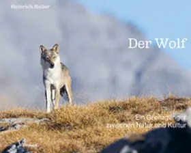 Haller |  Der Wolf | Buch |  Sack Fachmedien