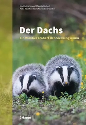 Geiger / Kistler / Rauchenstein |  Der Dachs | Buch |  Sack Fachmedien