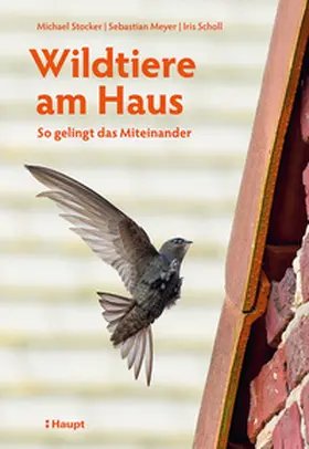Stocker / Meyer / Scholl |  Wildtiere am Haus | Buch |  Sack Fachmedien