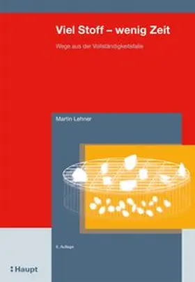 Lehner |  Viel Stoff - wenig Zeit | Buch |  Sack Fachmedien