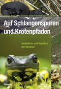 Meyer / Zumbach / Schmidt |  Auf Schlangenspuren und Krötenpfaden | eBook | Sack Fachmedien